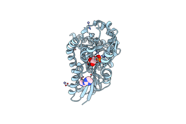4PFB image