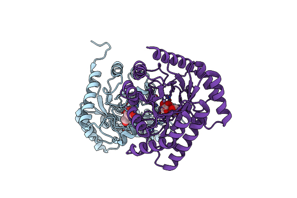 4PFH image