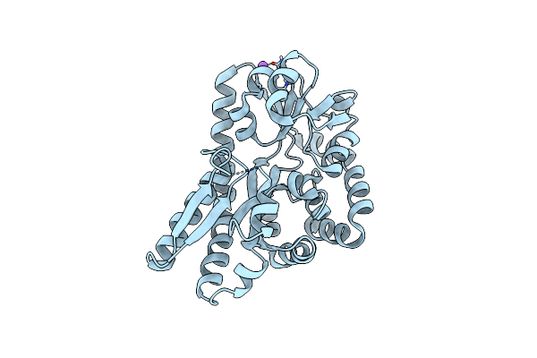 4PFI image
