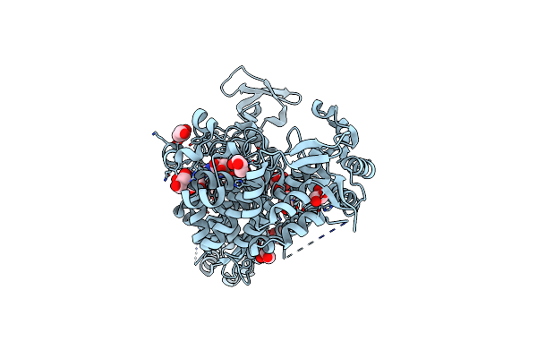 4PFO image