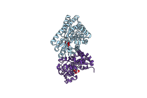 4PFR image