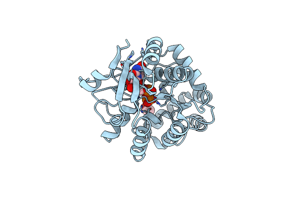 4PFX image