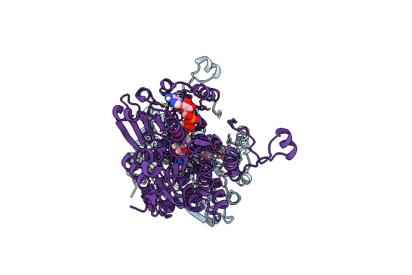4PGF image