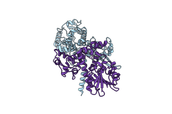 4PGG image