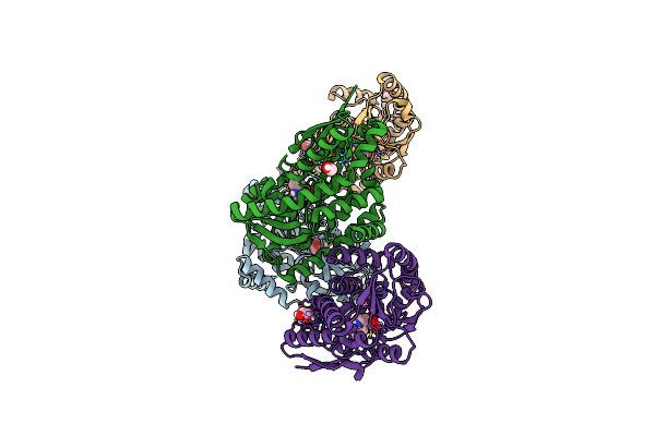 4PGN image