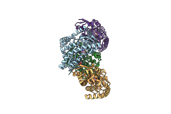 4PGP image