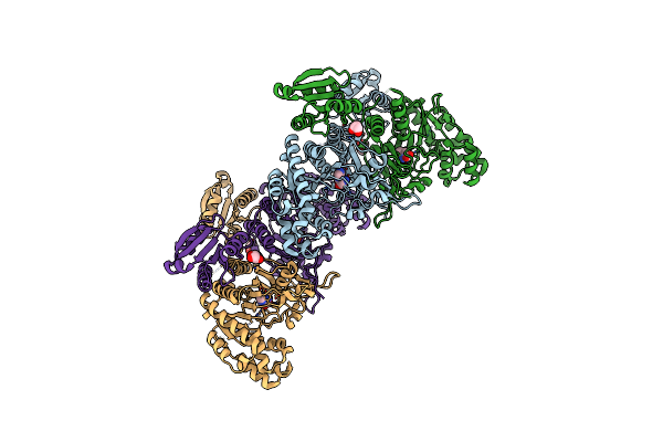 4PHC image
