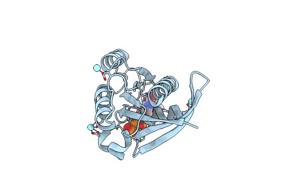 4PHG image