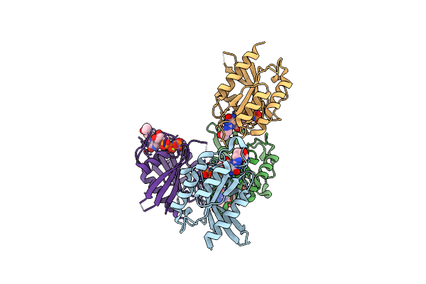 4PHH image