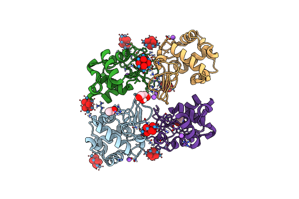 4PHI image