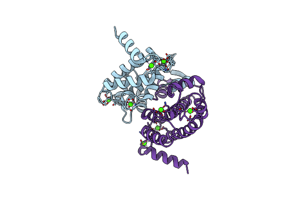 4PHN image