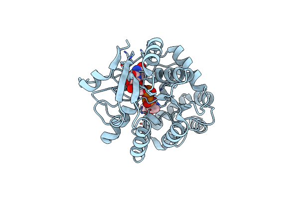 4PHR image