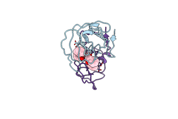 4PHV image