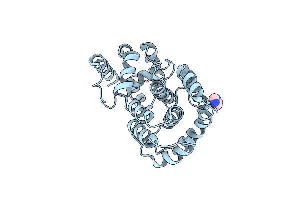 4PII image