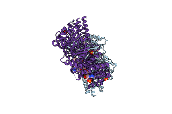 4PIV image