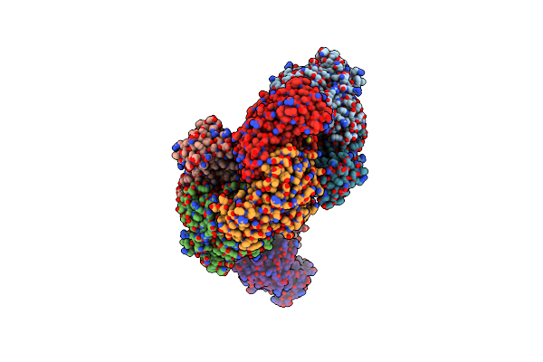 4PIW image