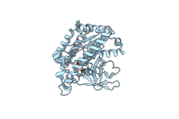 4PKB image