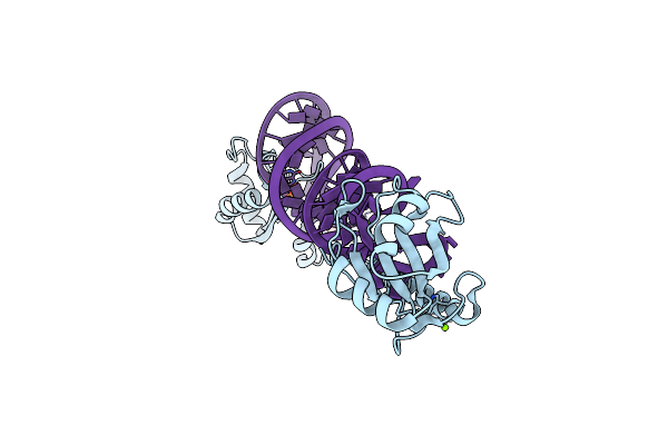 4PKD image