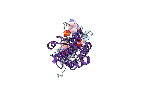 4PKL image