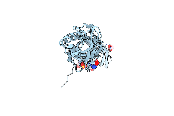 4PKM image