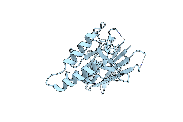 4PKX image