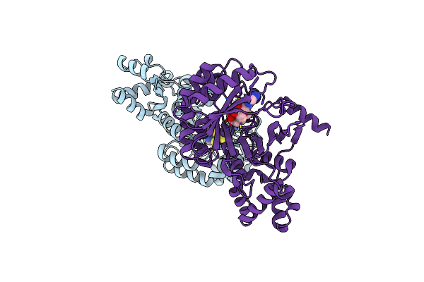 4PL1 image