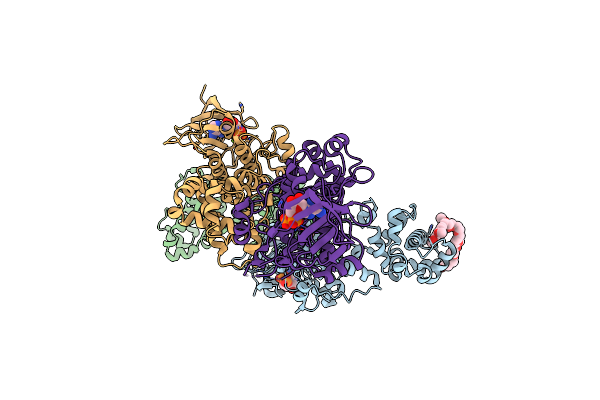 4PL5 image
