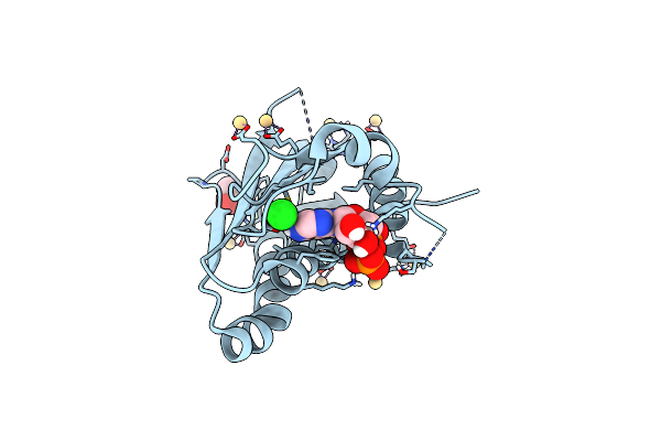 4PL9 image