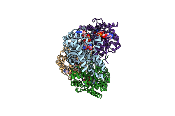 4PLT image