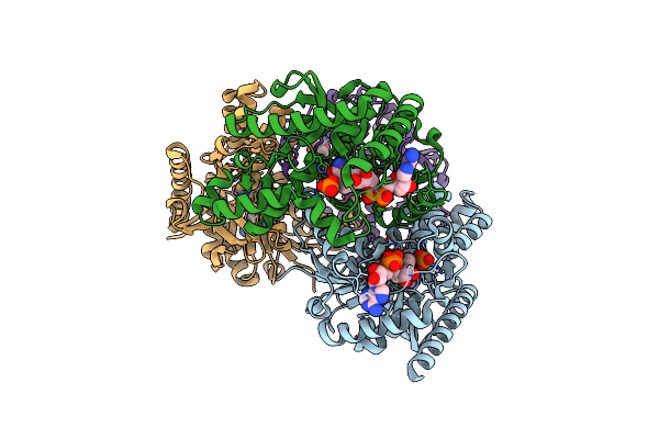 4PLW image