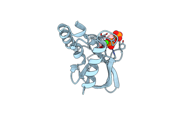 4PMB image