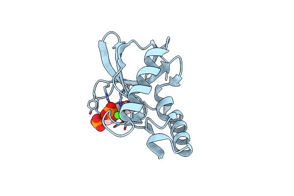 4PMC image