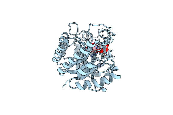 4PMD image