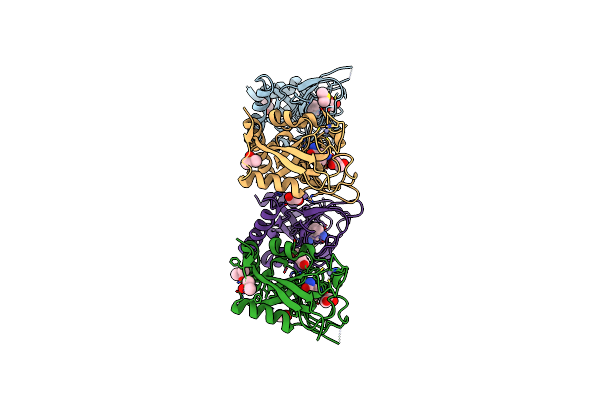 4PML image