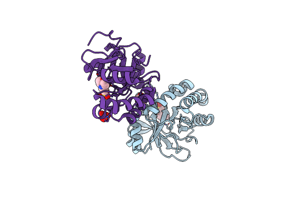 4PMN image