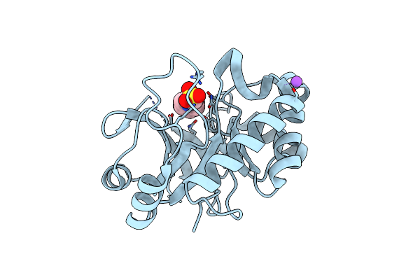 4PMR image