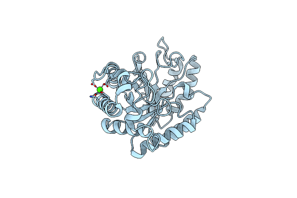 4PMX image