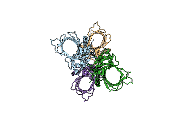 4PN0 image