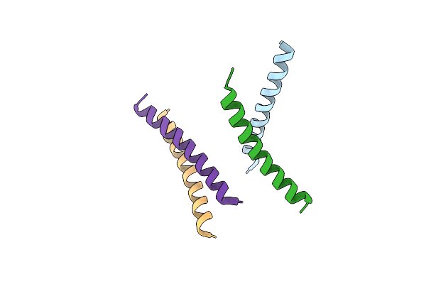 4PNB image
