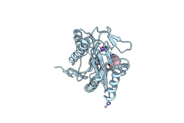 4PNC image