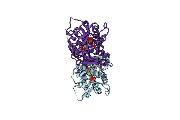 4PNE image