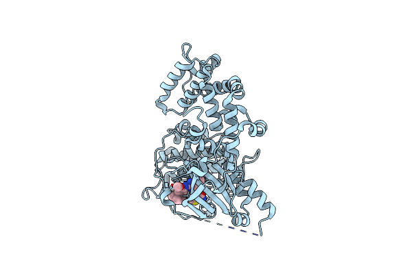 4PNI image