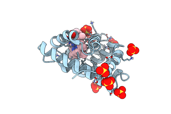 4PNJ image