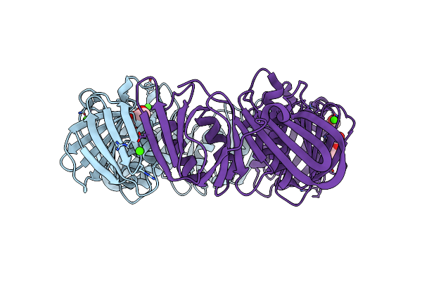 4PNV image