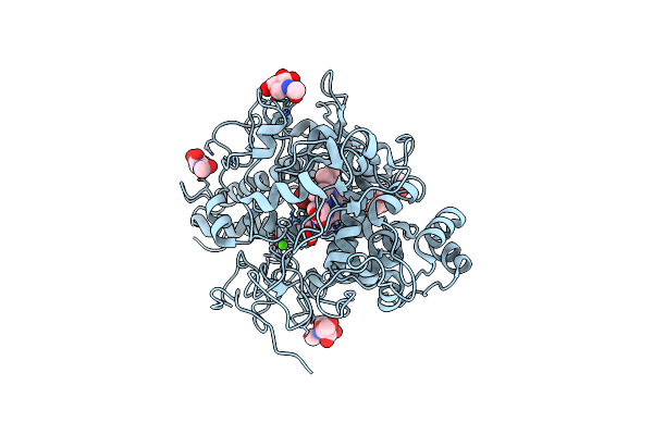 4PNX image