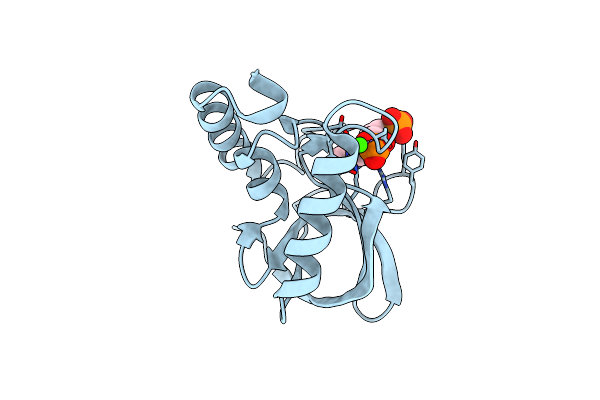 4PNY image