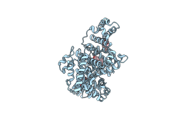 4PO0 image
