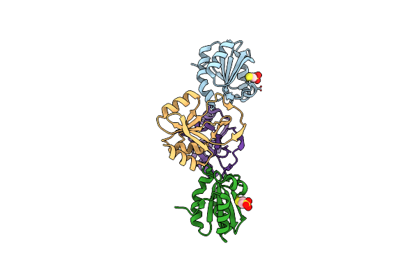 4POM image