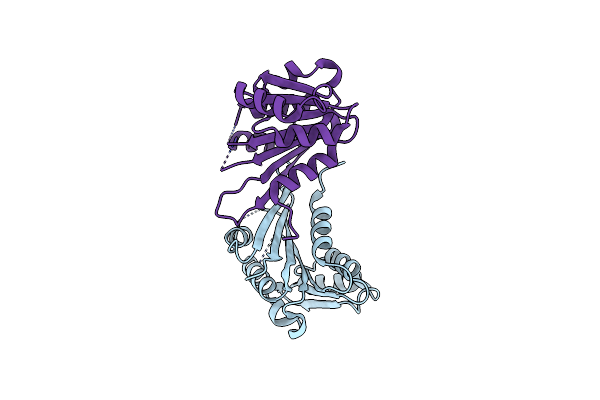 4PON image