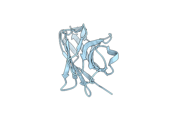 4POY image